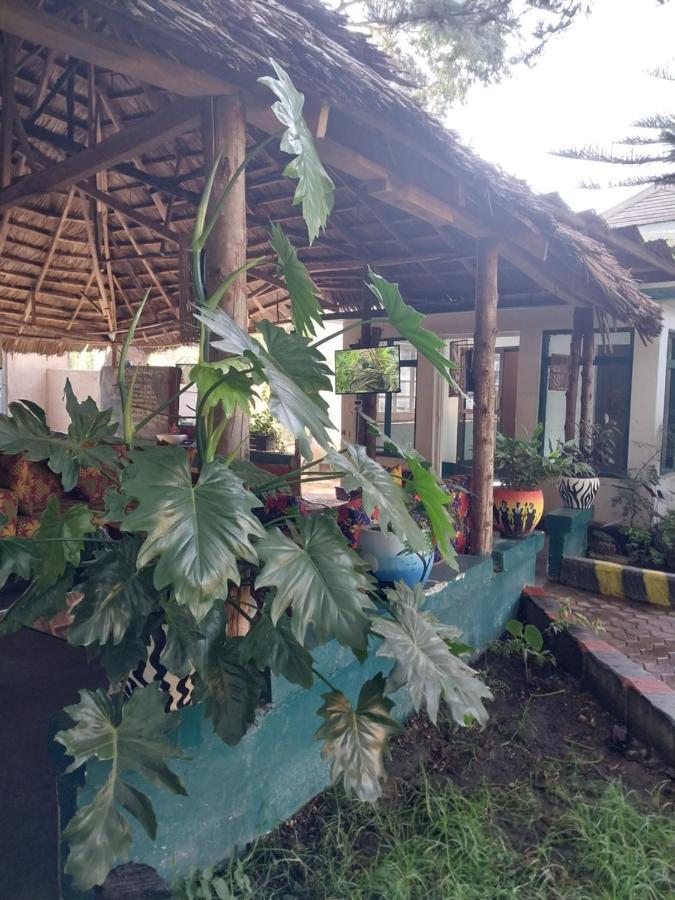 Green Garden Guest House 아루샤 외부 사진